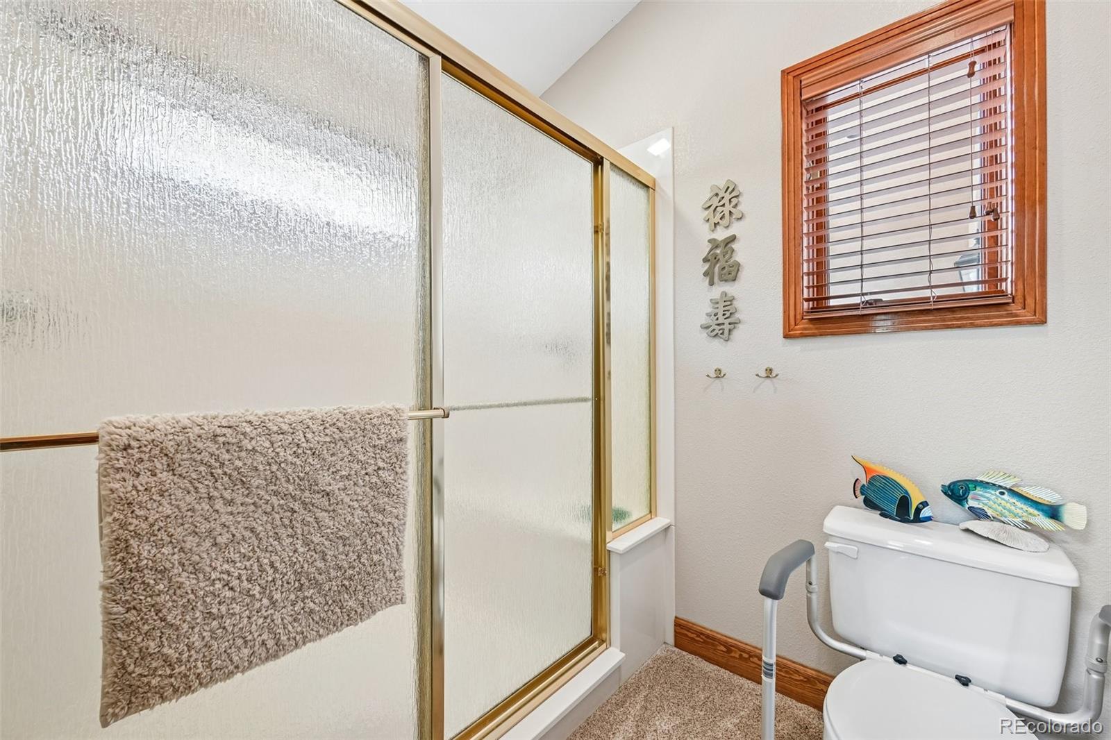 MLS Image #20 for 1070  deer springs lane,golden, Colorado