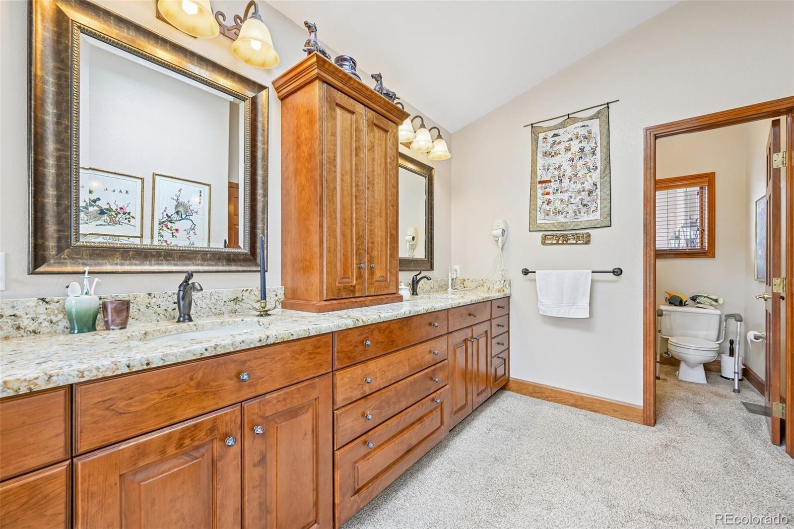 MLS Image #22 for 1070  deer springs lane,golden, Colorado