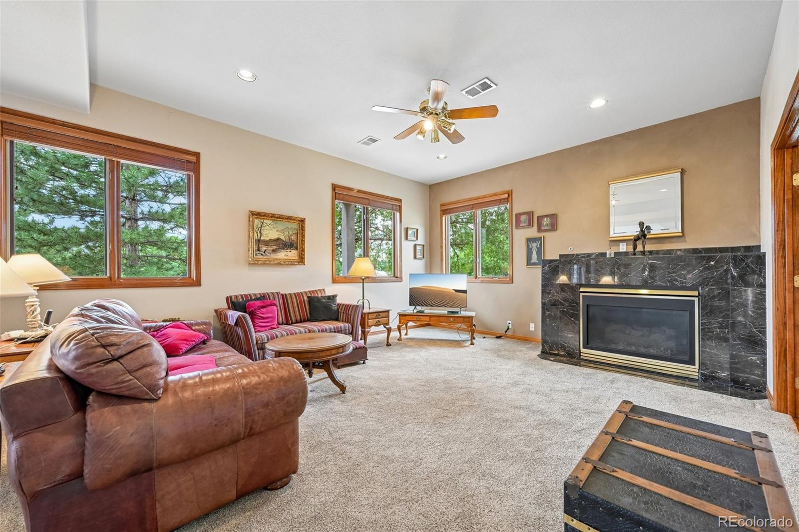 MLS Image #6 for 1070  deer springs lane,golden, Colorado