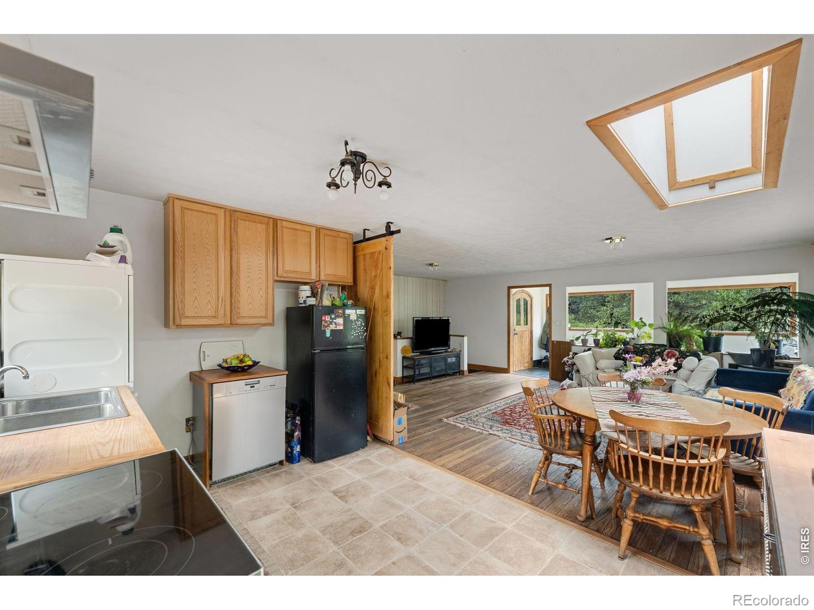 MLS Image #12 for 425  caribou road,nederland, Colorado