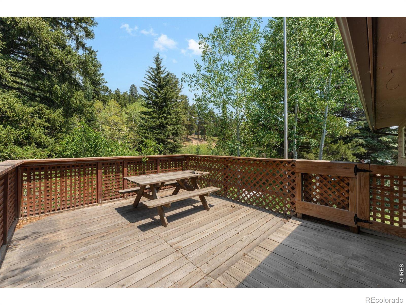 MLS Image #17 for 425  caribou road,nederland, Colorado