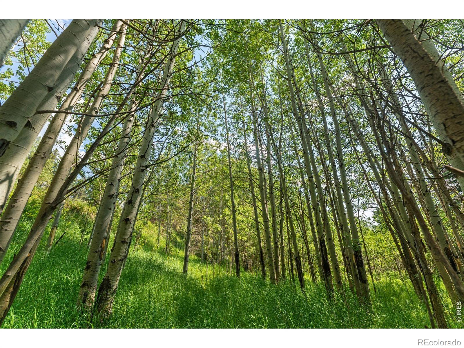 MLS Image #26 for 425  caribou road,nederland, Colorado