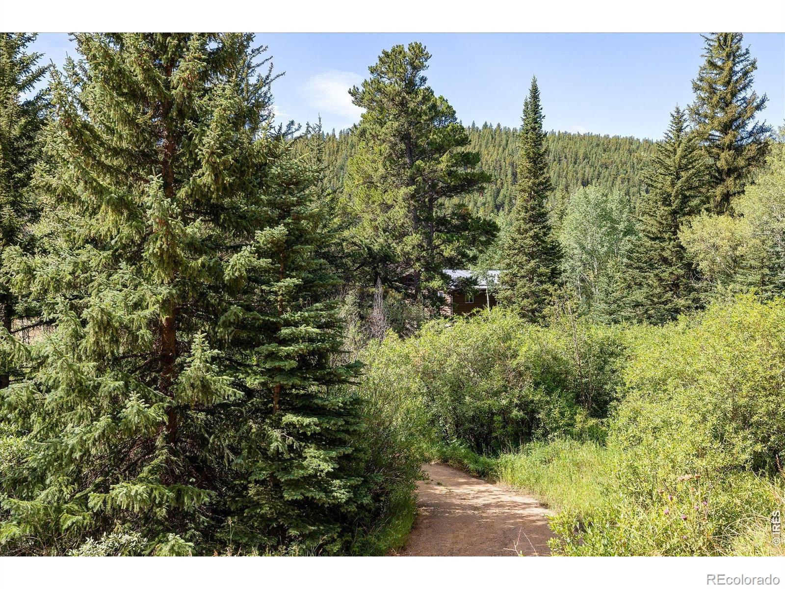 MLS Image #34 for 425  caribou road,nederland, Colorado