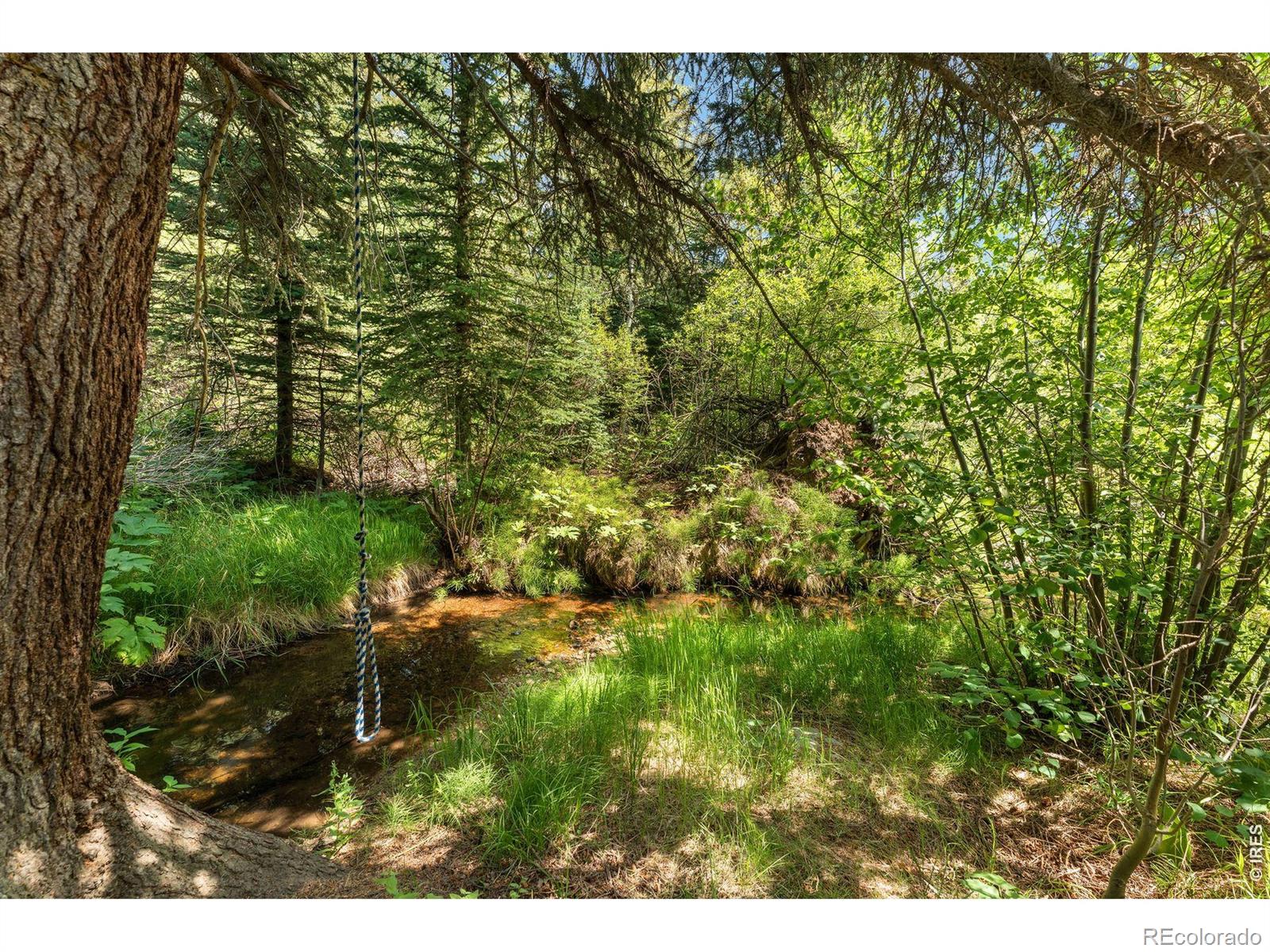 MLS Image #38 for 425  caribou road,nederland, Colorado
