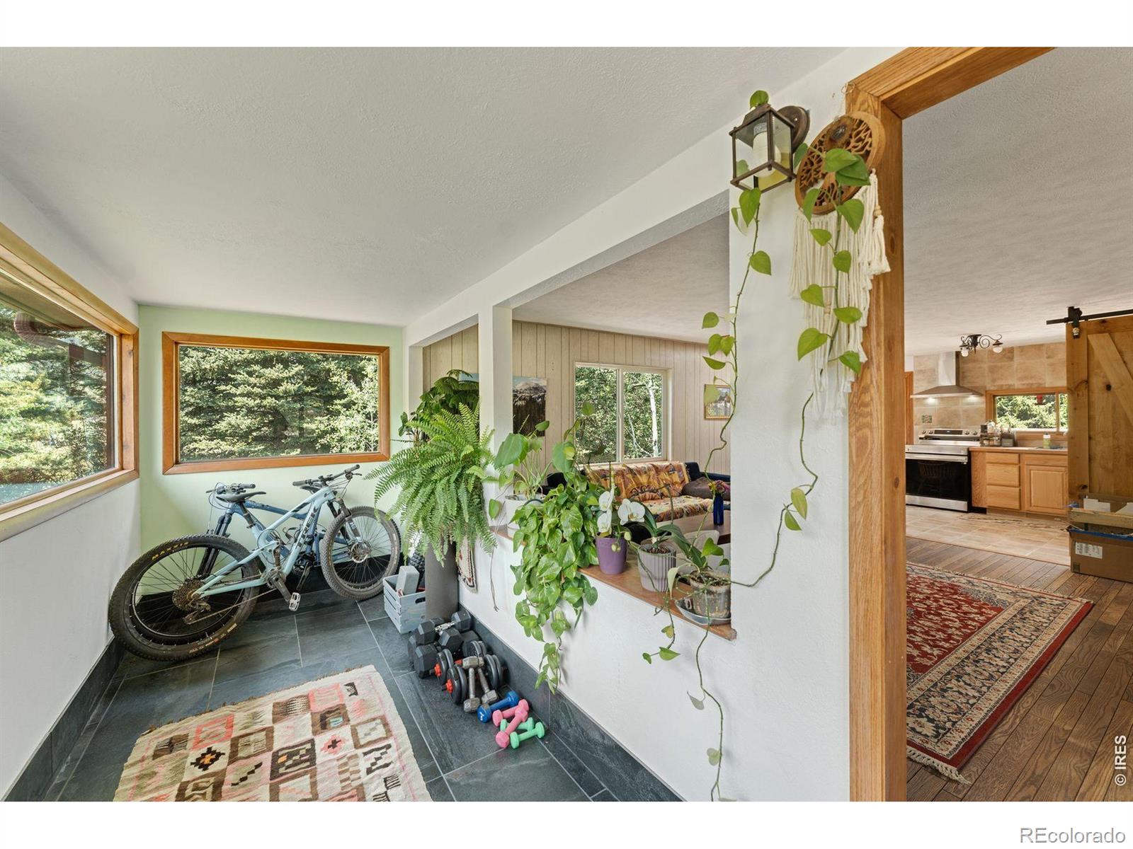 MLS Image #6 for 425  caribou road,nederland, Colorado