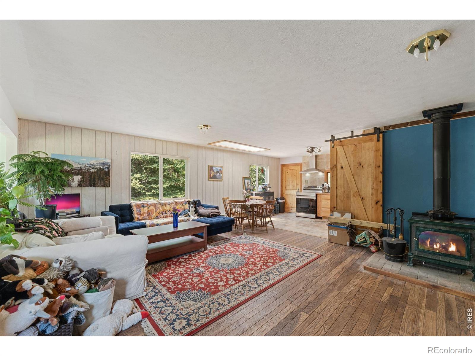 MLS Image #9 for 425  caribou road,nederland, Colorado