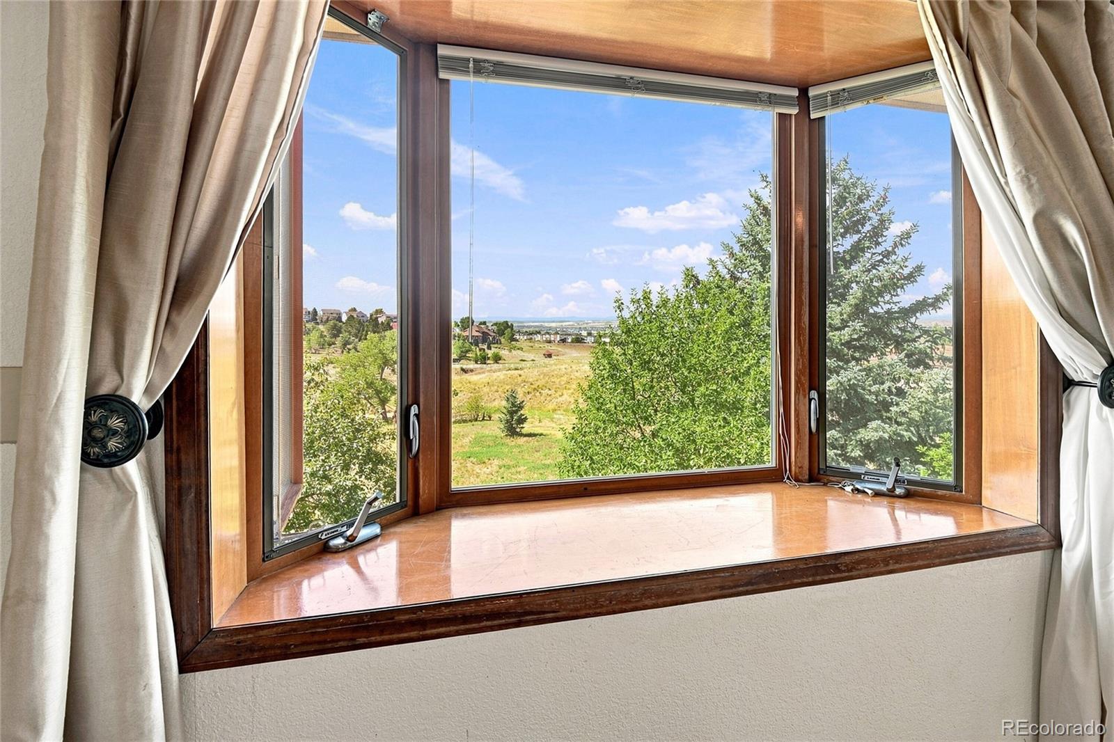 MLS Image #10 for 11226  panorama court,parker, Colorado