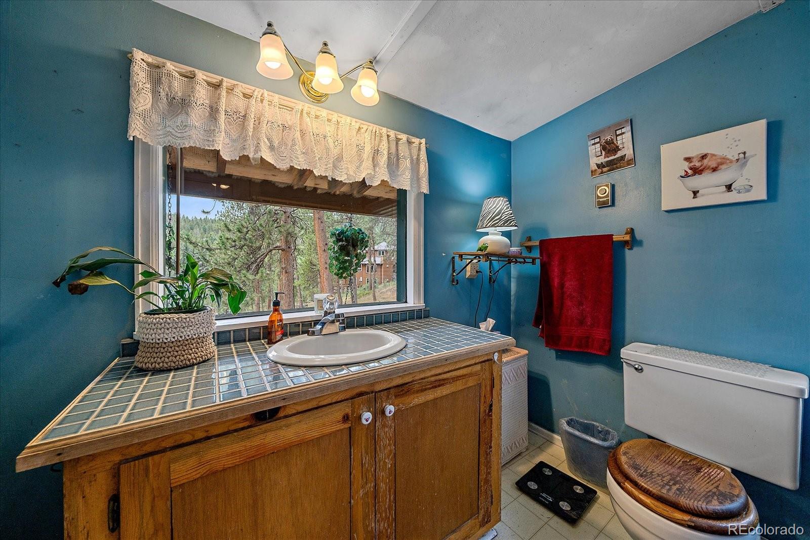 MLS Image #22 for 28321  shadow mountain drive,conifer, Colorado