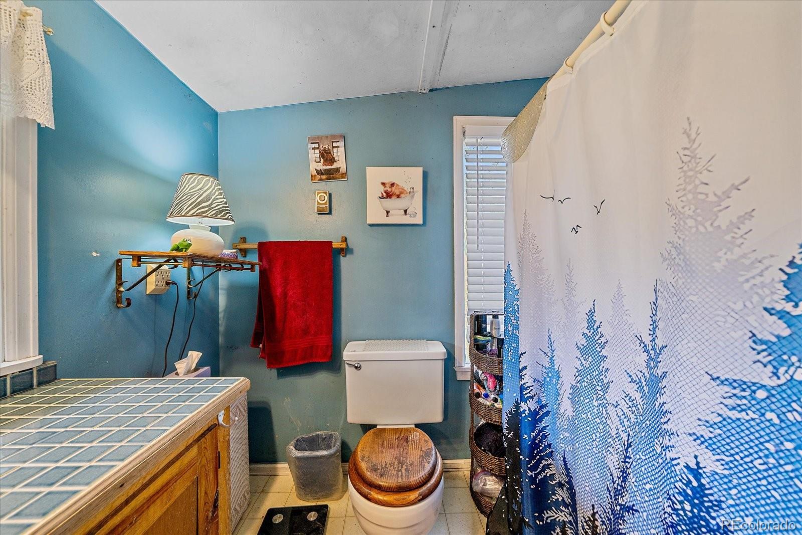 MLS Image #23 for 28321  shadow mountain drive,conifer, Colorado