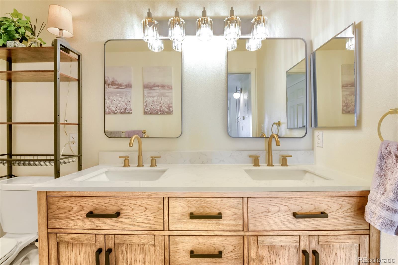 MLS Image #7 for 8365  pebble creek way,littleton, Colorado