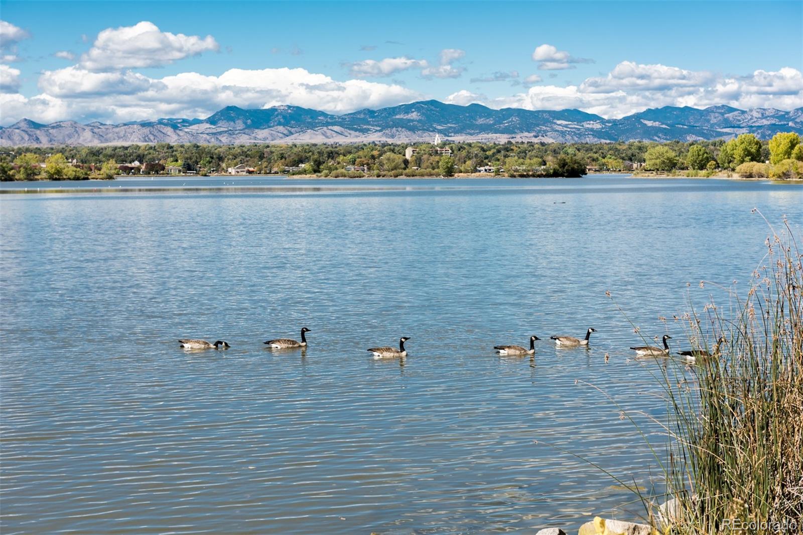 MLS Image #34 for 2545  zenobia street,denver, Colorado