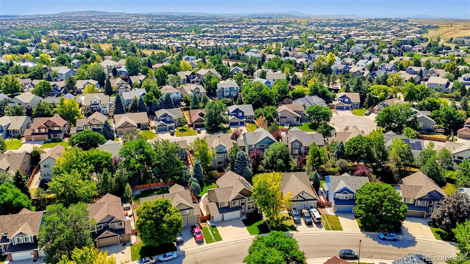 MLS Image #39 for 1020  english sparrow trail,littleton, Colorado