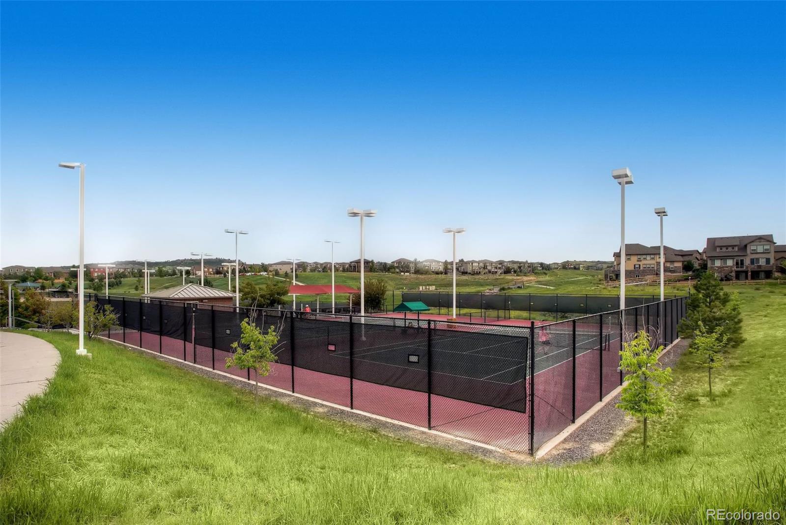MLS Image #45 for 1020  english sparrow trail,littleton, Colorado