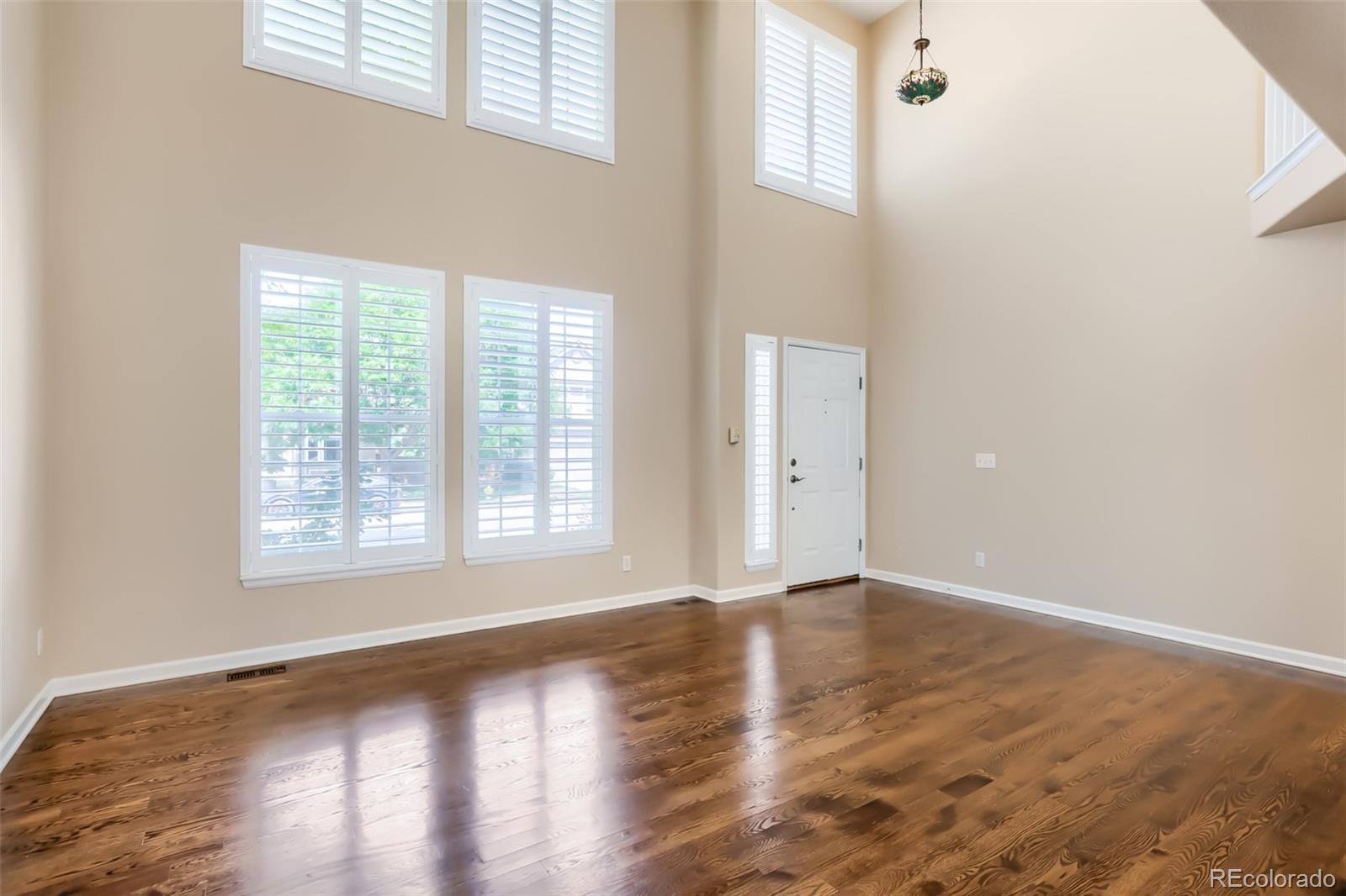 MLS Image #6 for 1020  english sparrow trail,littleton, Colorado