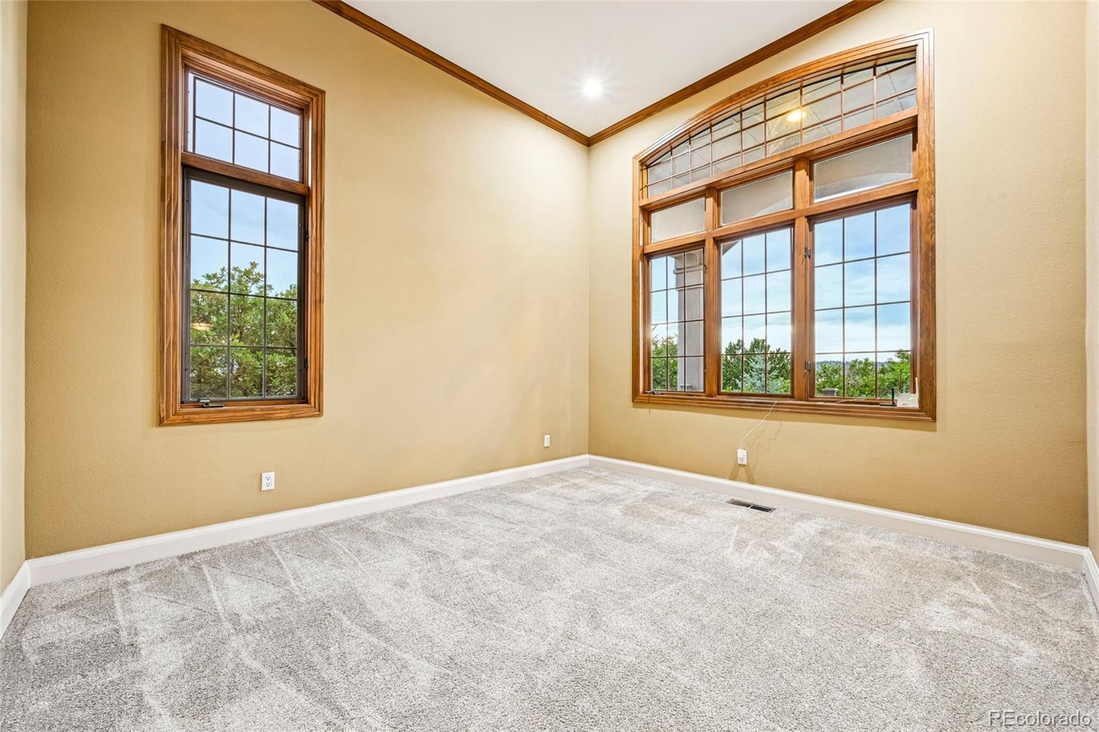 MLS Image #13 for 3366  red tree place,castle rock, Colorado