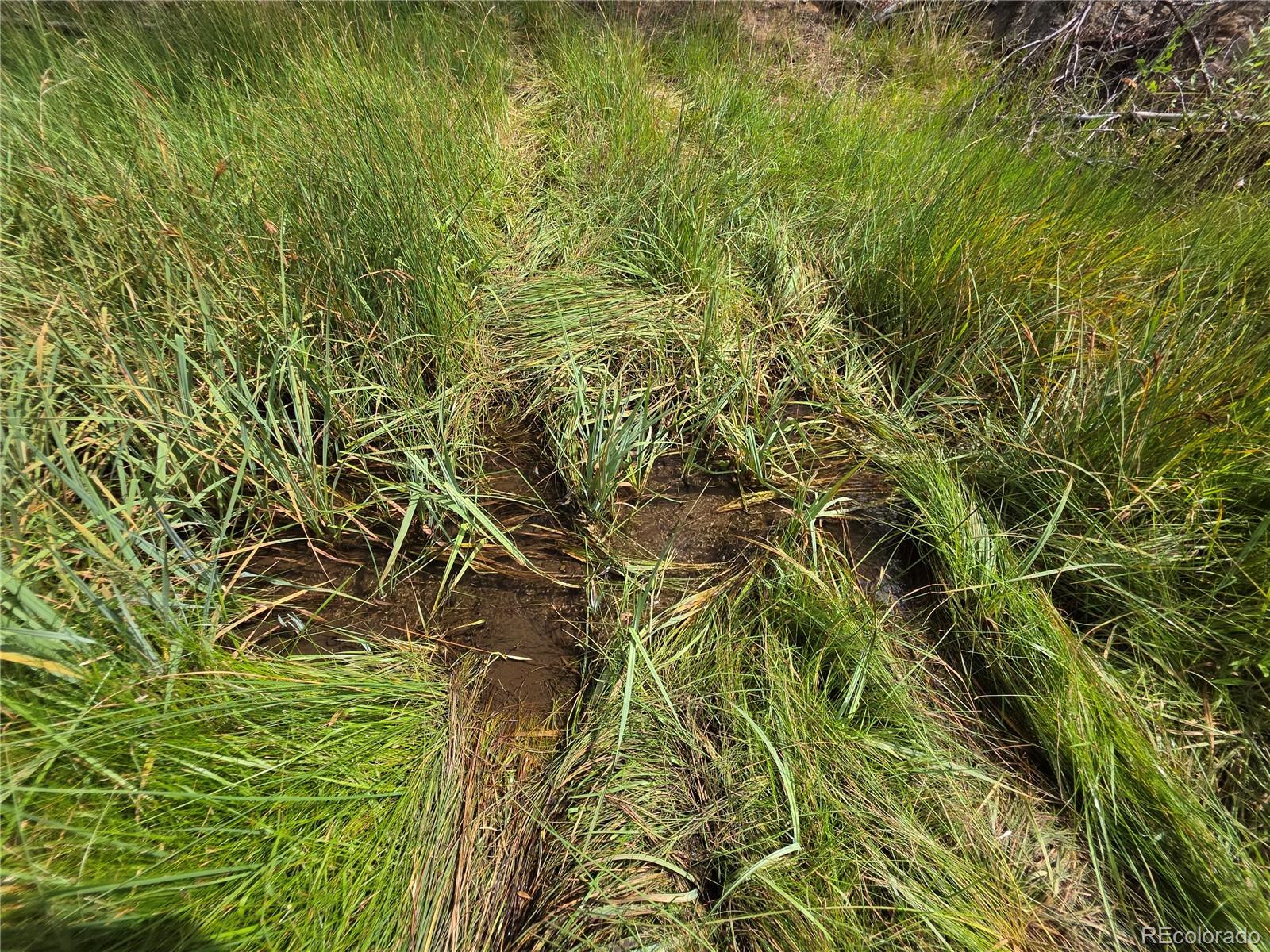 MLS Image #34 for 291  county road 51 ,cotopaxi, Colorado
