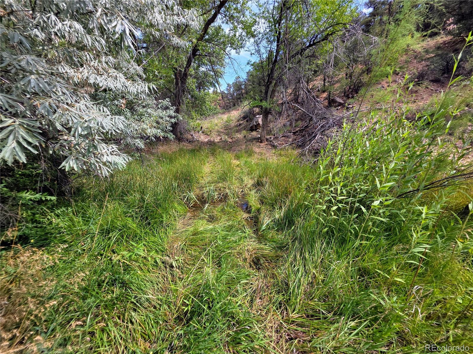 MLS Image #37 for 291  county road 51 ,cotopaxi, Colorado