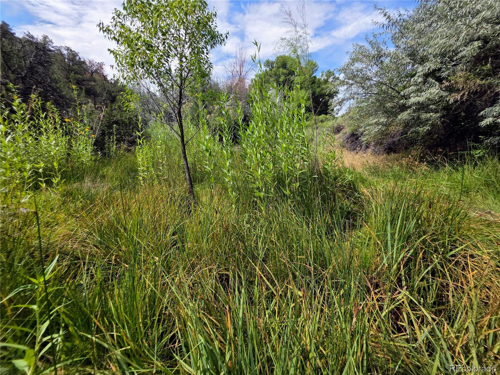 MLS Image #39 for 291  county road 51 ,cotopaxi, Colorado