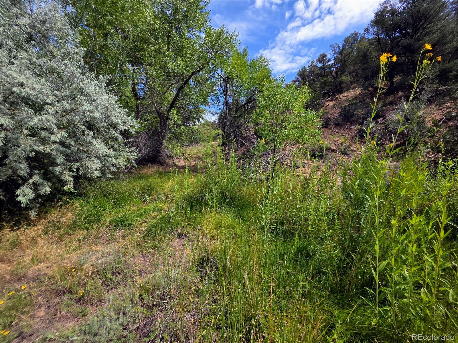 MLS Image #40 for 291  county road 51 ,cotopaxi, Colorado