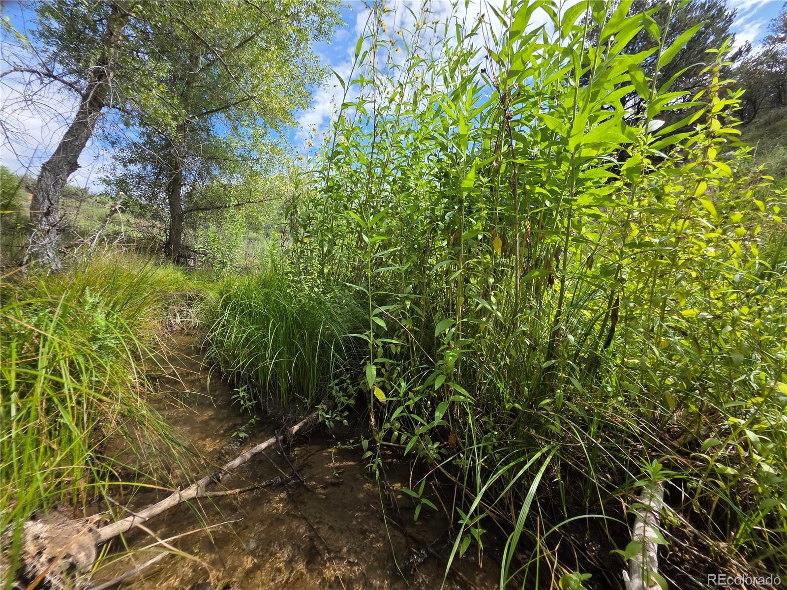MLS Image #41 for 291  county road 51 ,cotopaxi, Colorado
