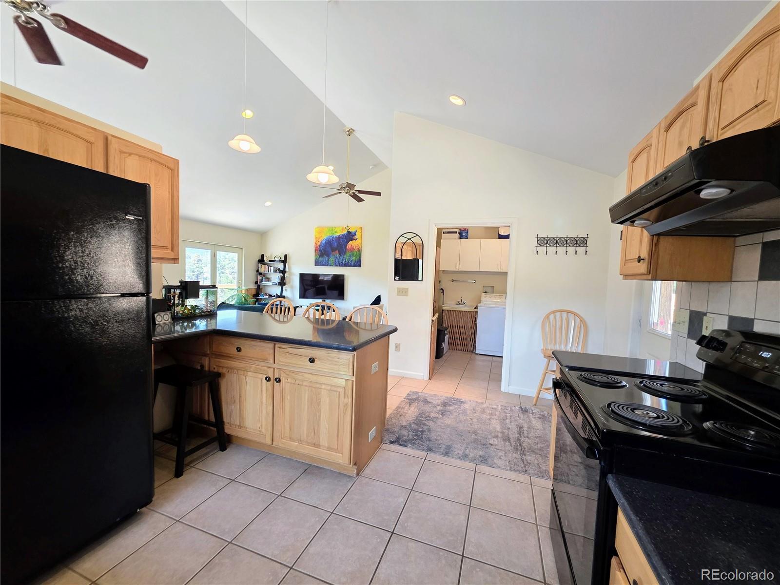 MLS Image #5 for 291  county road 51 ,cotopaxi, Colorado