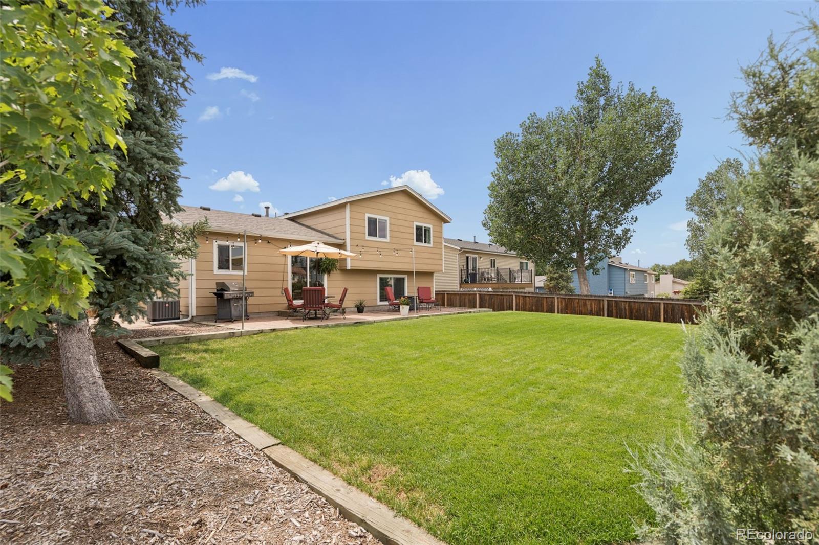 MLS Image #2 for 3674  ian point terrace,colorado springs, Colorado