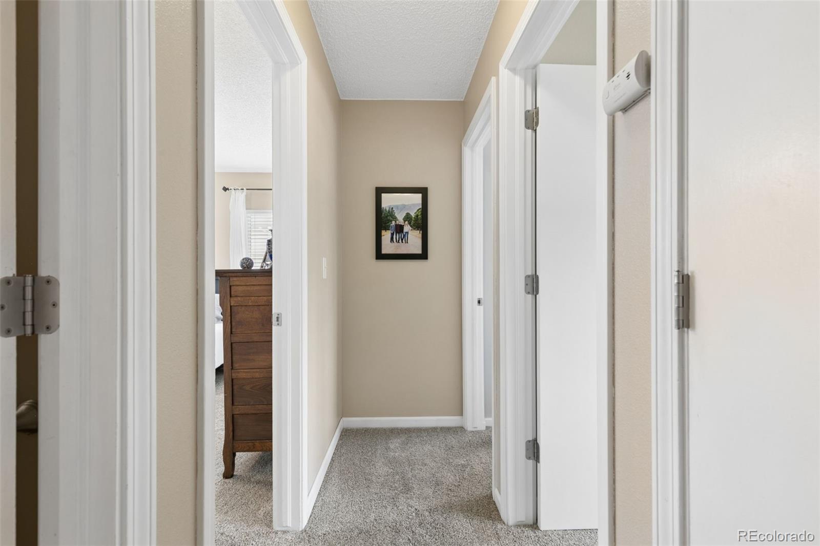 MLS Image #22 for 3674  ian point terrace,colorado springs, Colorado
