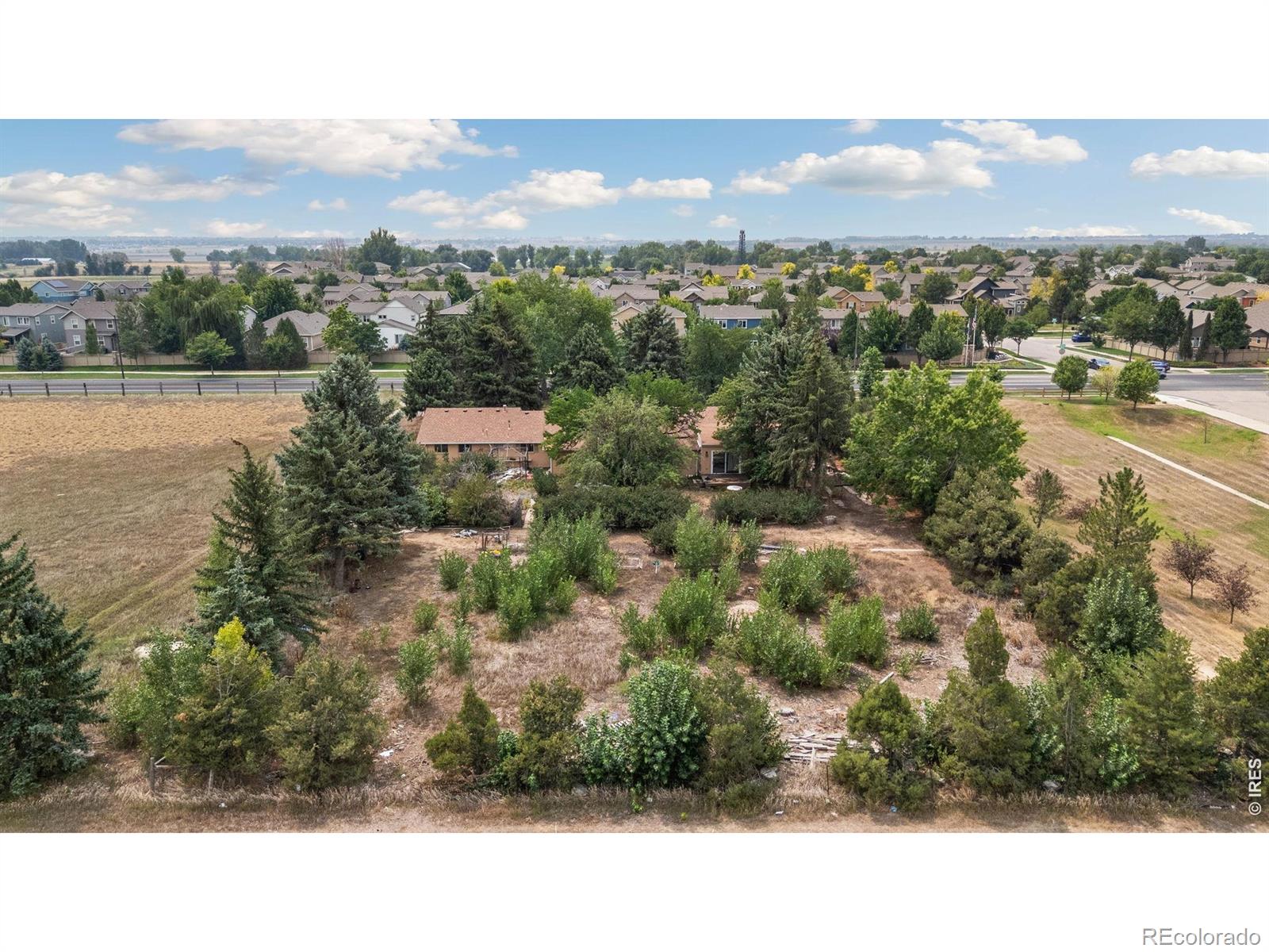 MLS Image #7 for 4000  kechter road,fort collins, Colorado