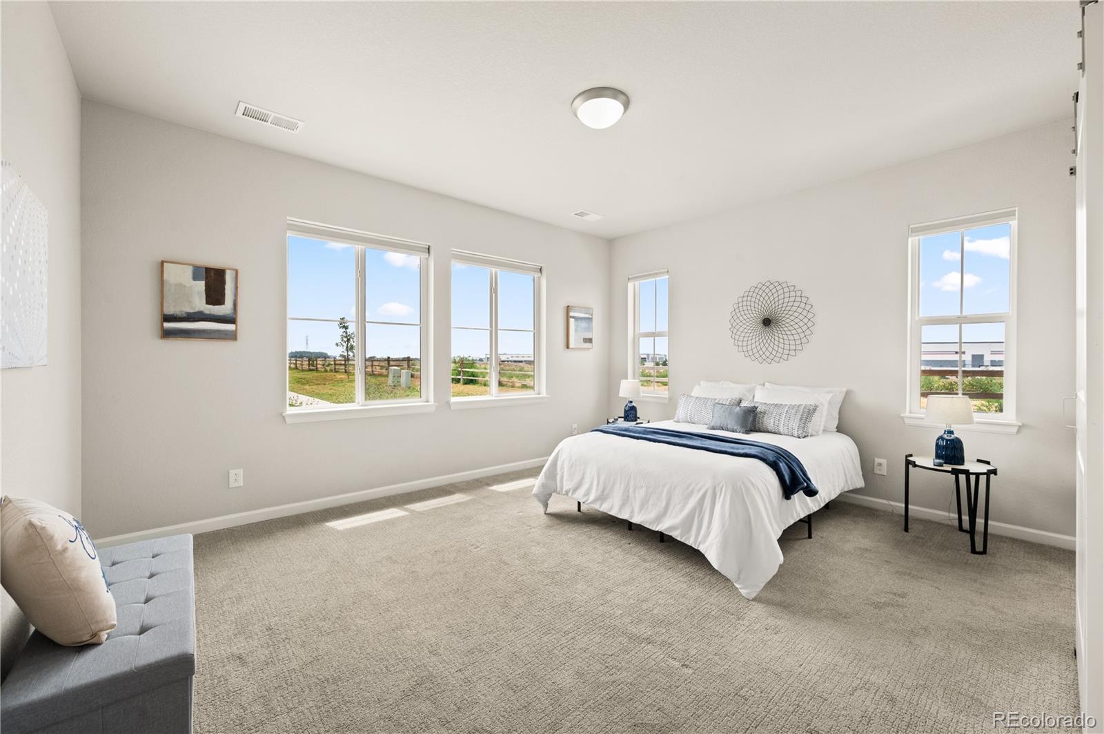 MLS Image #15 for 10597  paris street,henderson, Colorado