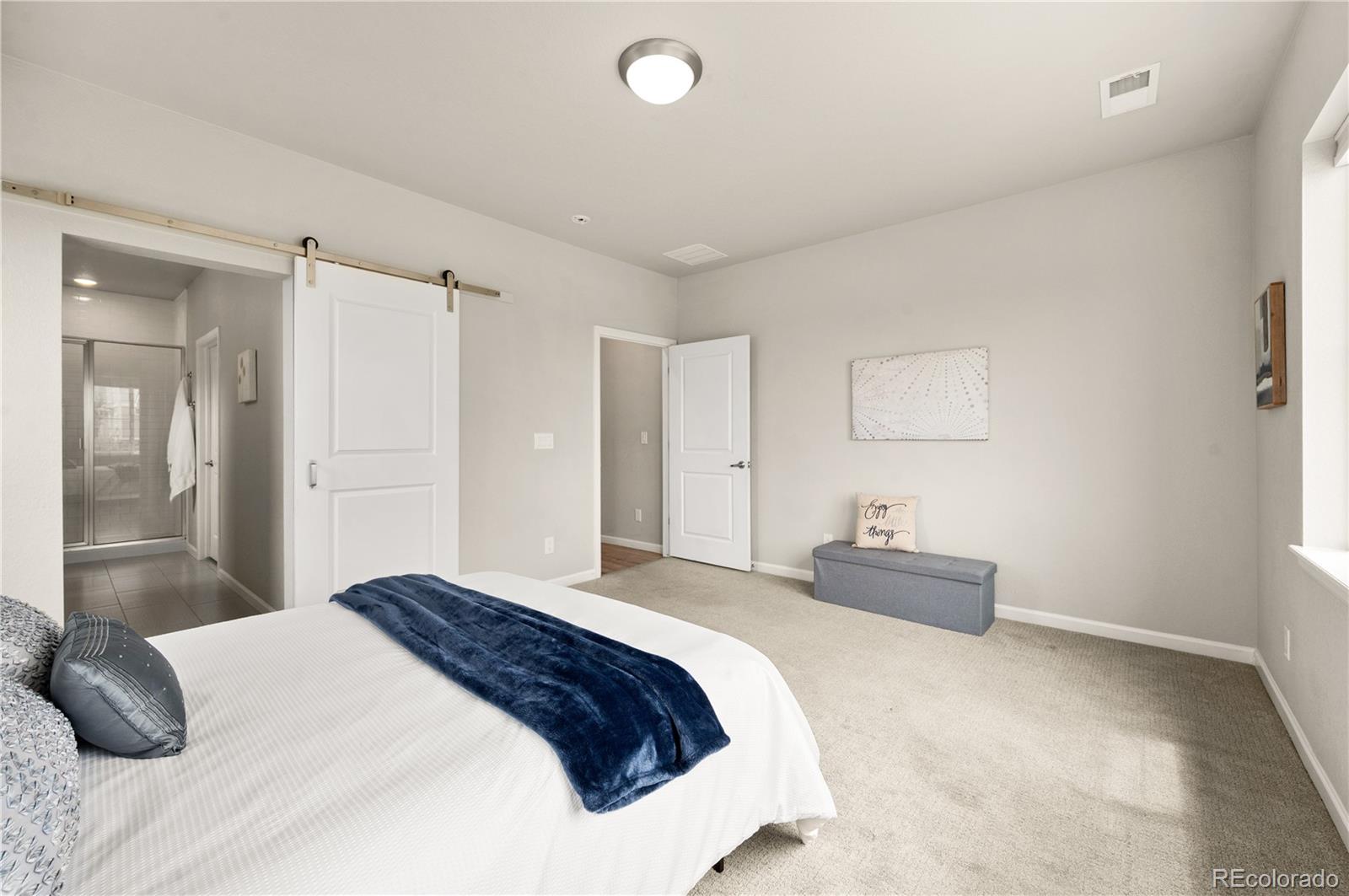 MLS Image #17 for 10597  paris street,henderson, Colorado
