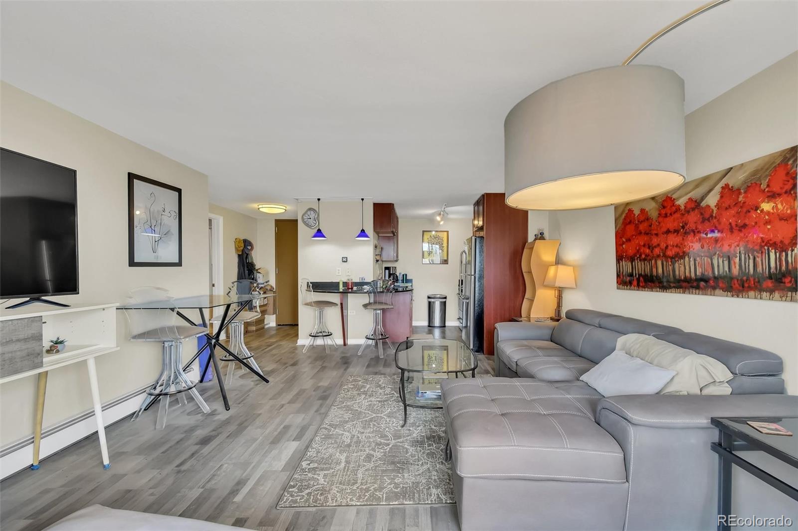 MLS Image #4 for 1150  vine street,denver, Colorado