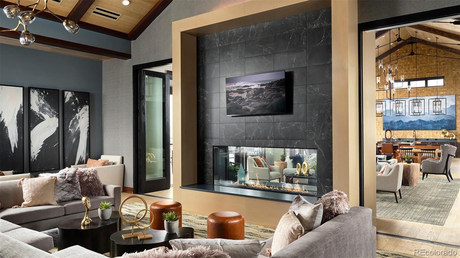MLS Image #7 for 428  agoseris way,castle rock, Colorado