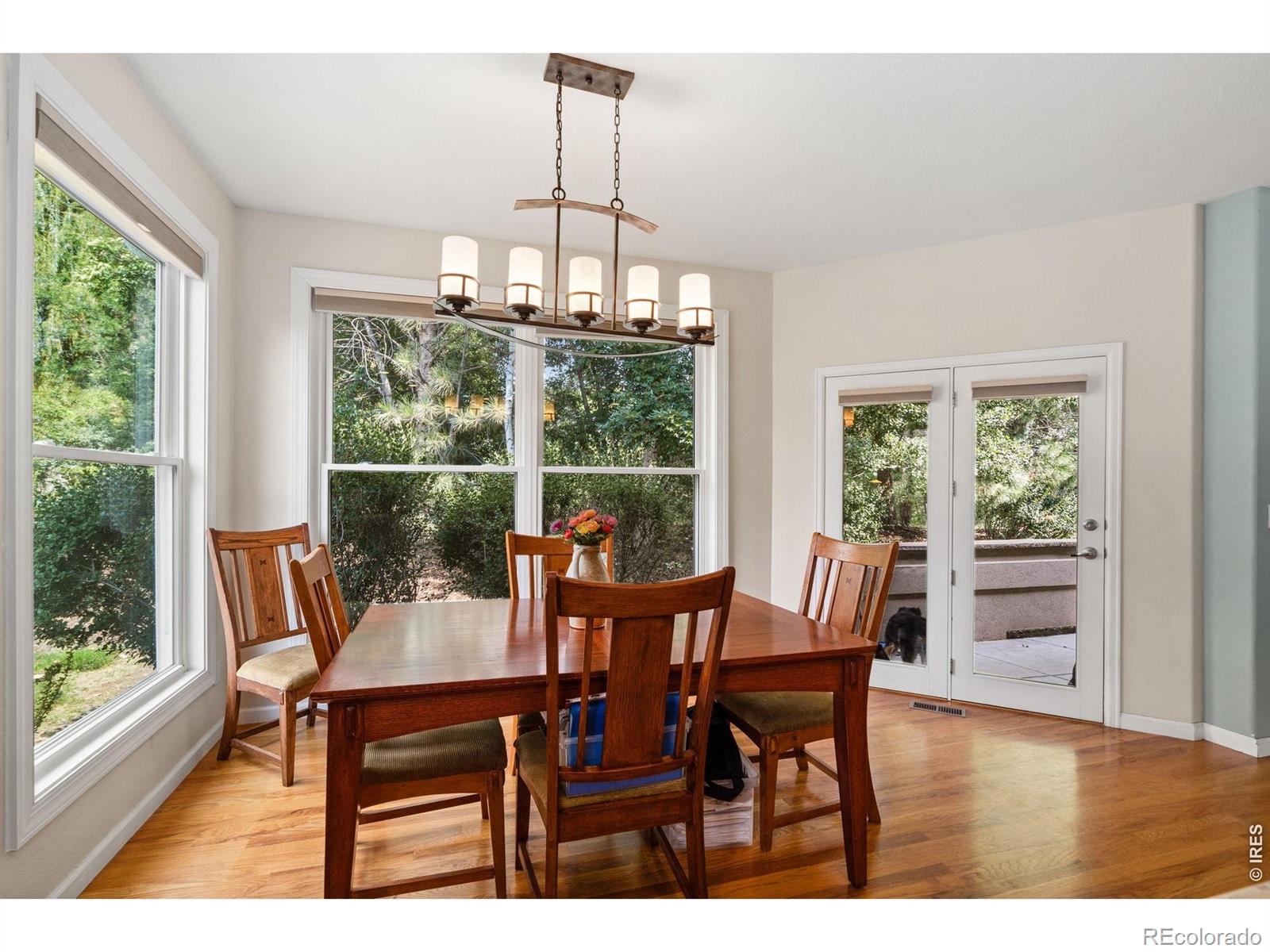 MLS Image #16 for 2532  tucker court,fort collins, Colorado