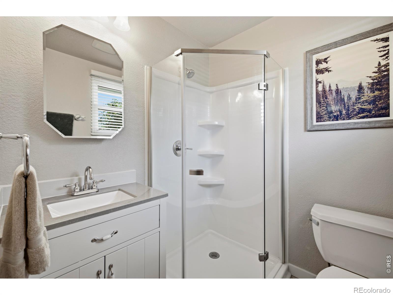 MLS Image #20 for 3909  goodell lane,fort collins, Colorado