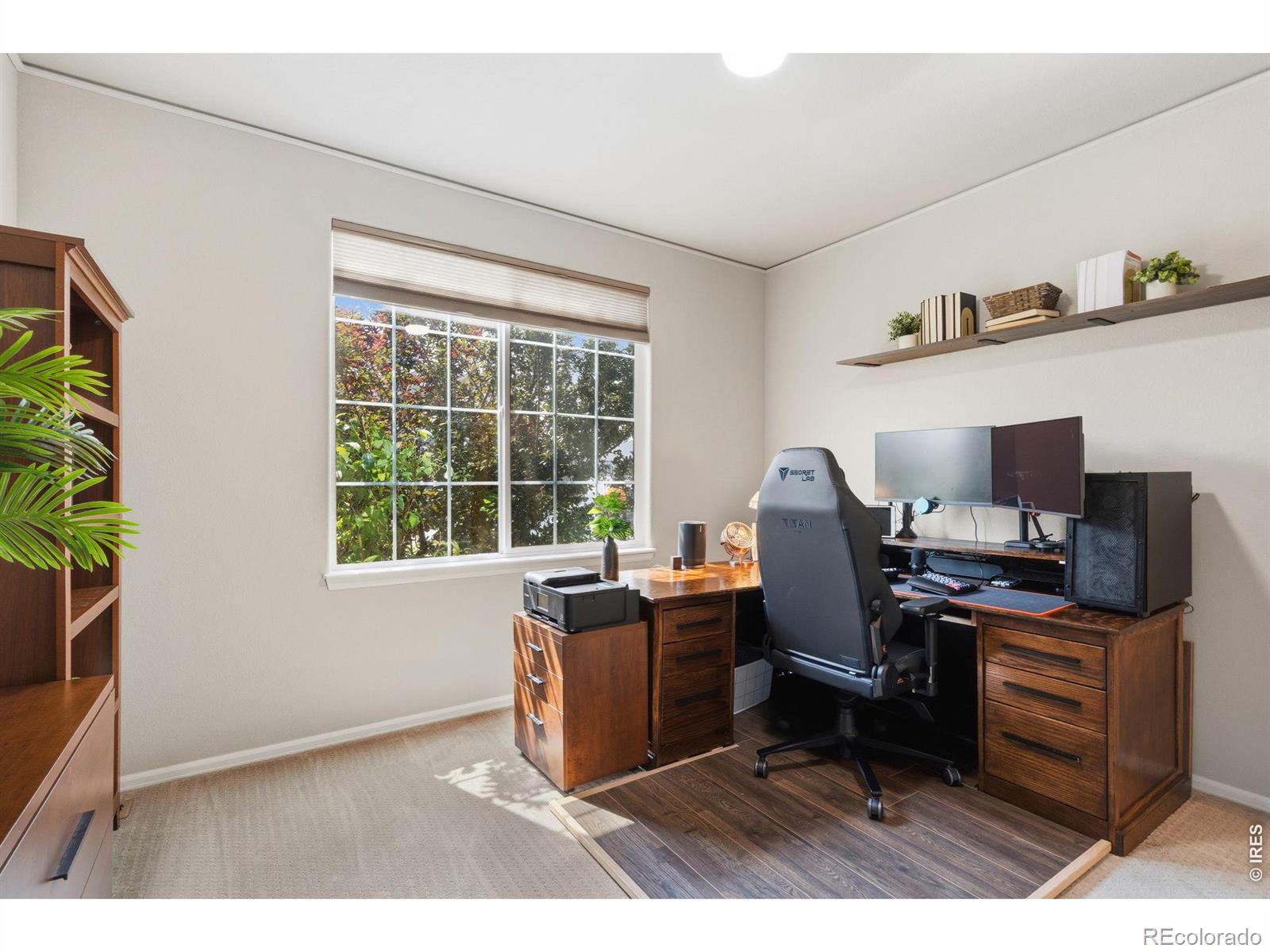MLS Image #15 for 454  mt sherman avenue,severance, Colorado