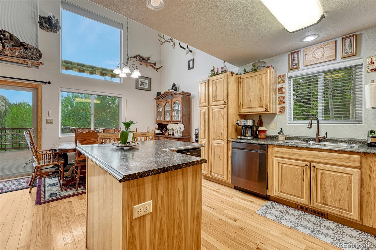 MLS Image #11 for 744  whale drive,lake george, Colorado