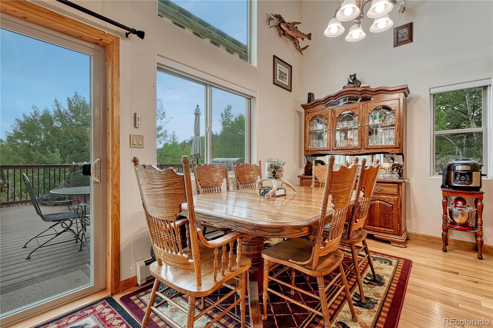 MLS Image #13 for 744  whale drive,lake george, Colorado