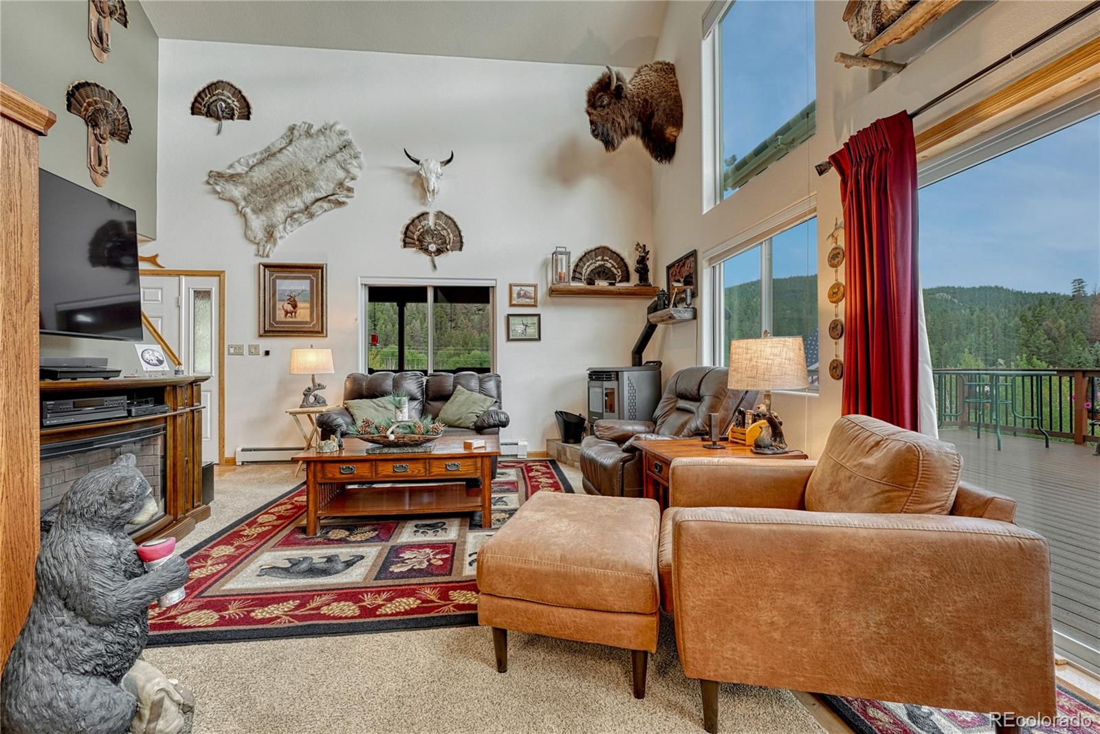 MLS Image #14 for 744  whale drive,lake george, Colorado