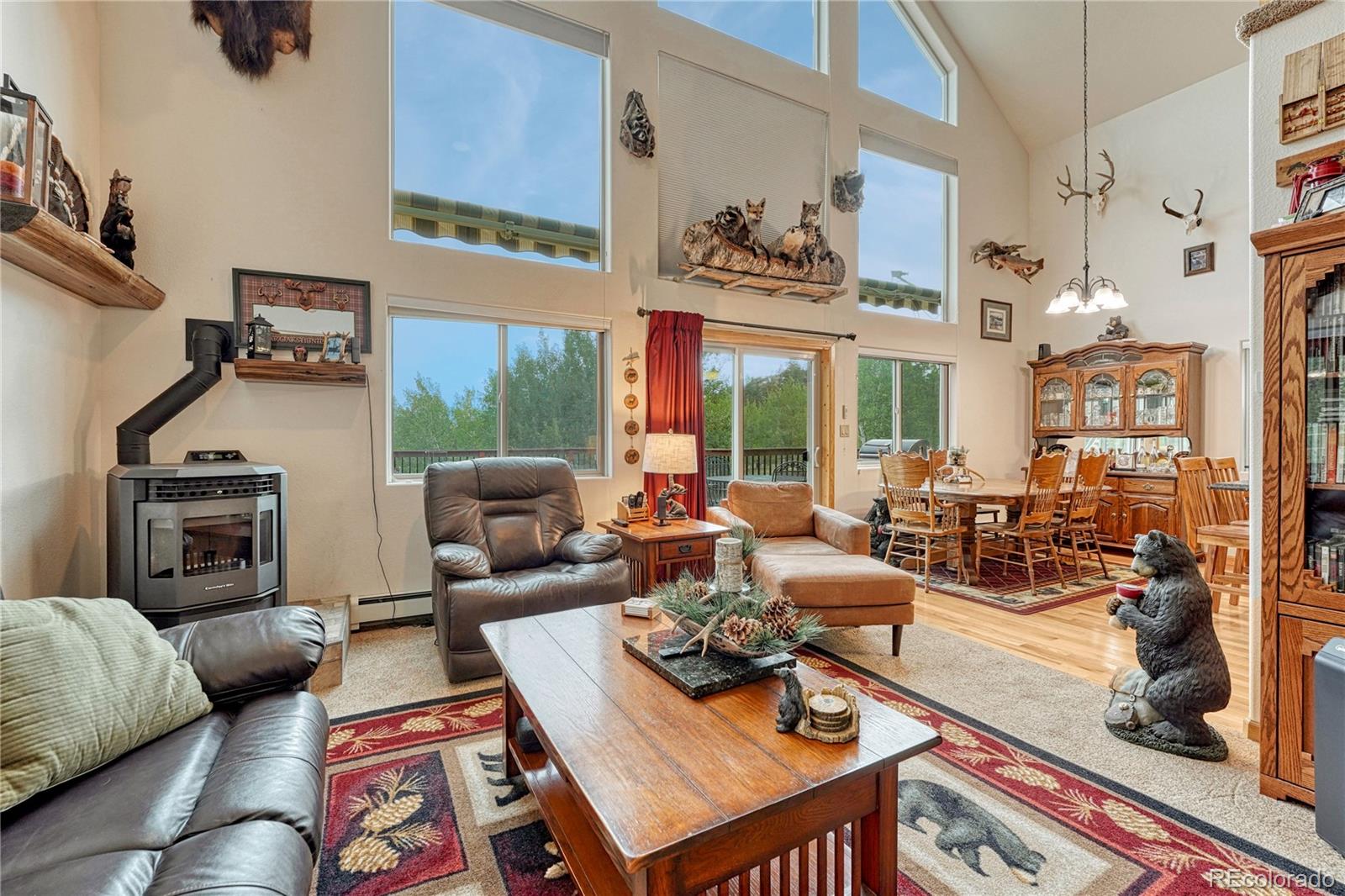 MLS Image #15 for 744  whale drive,lake george, Colorado