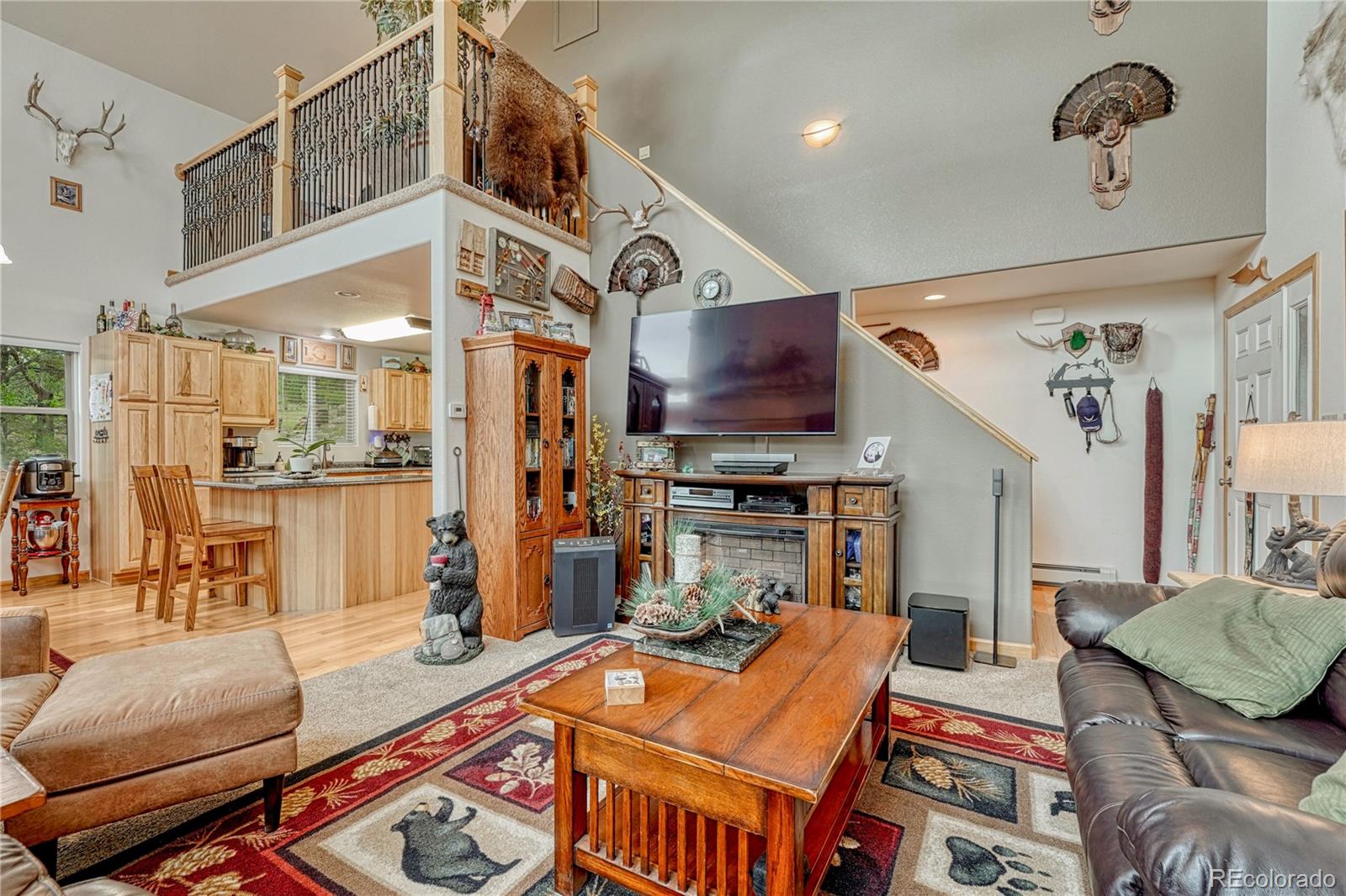 MLS Image #16 for 744  whale drive,lake george, Colorado