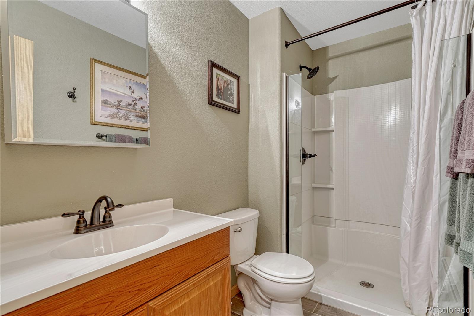 MLS Image #17 for 744  whale drive,lake george, Colorado