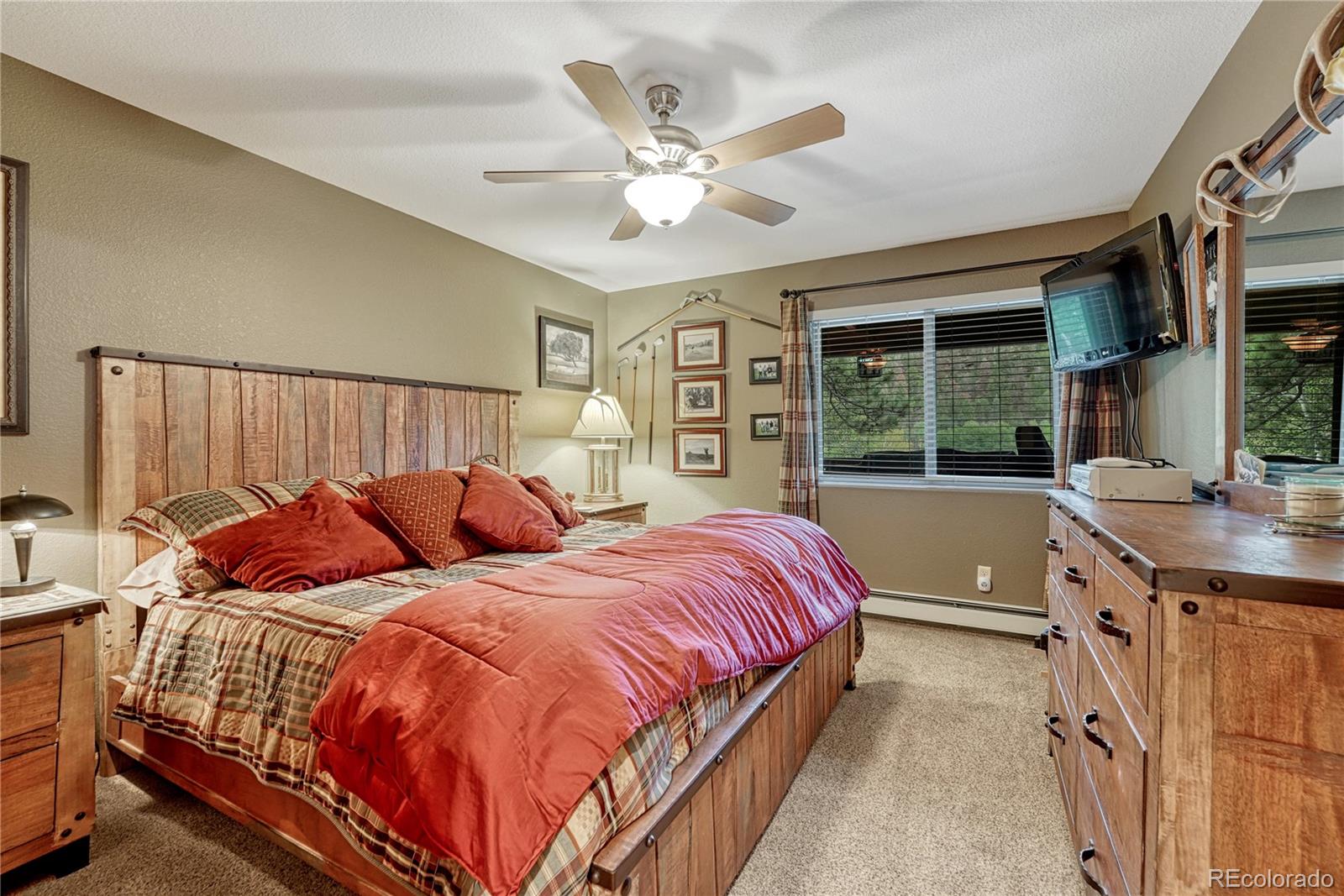 MLS Image #18 for 744  whale drive,lake george, Colorado