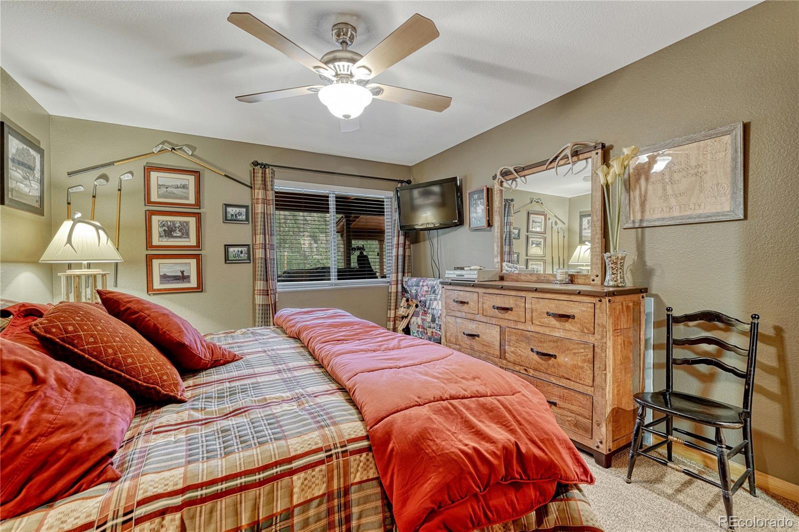 MLS Image #19 for 744  whale drive,lake george, Colorado