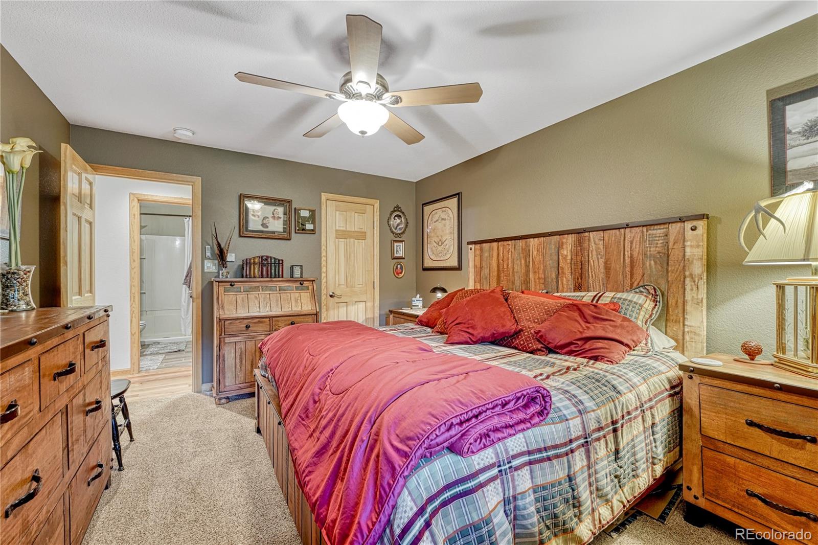MLS Image #20 for 744  whale drive,lake george, Colorado