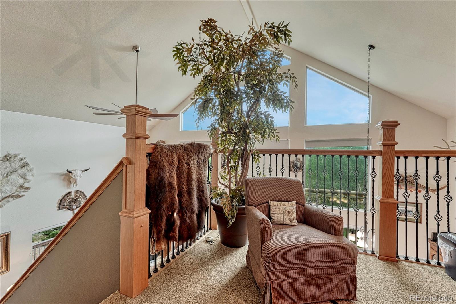 MLS Image #21 for 744  whale drive,lake george, Colorado