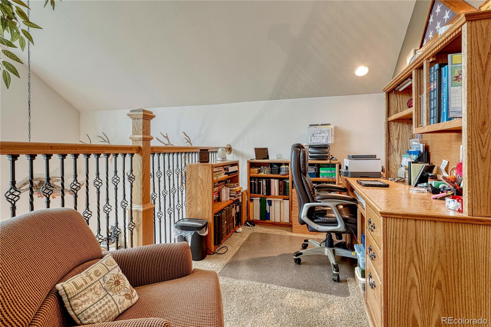 MLS Image #22 for 744  whale drive,lake george, Colorado