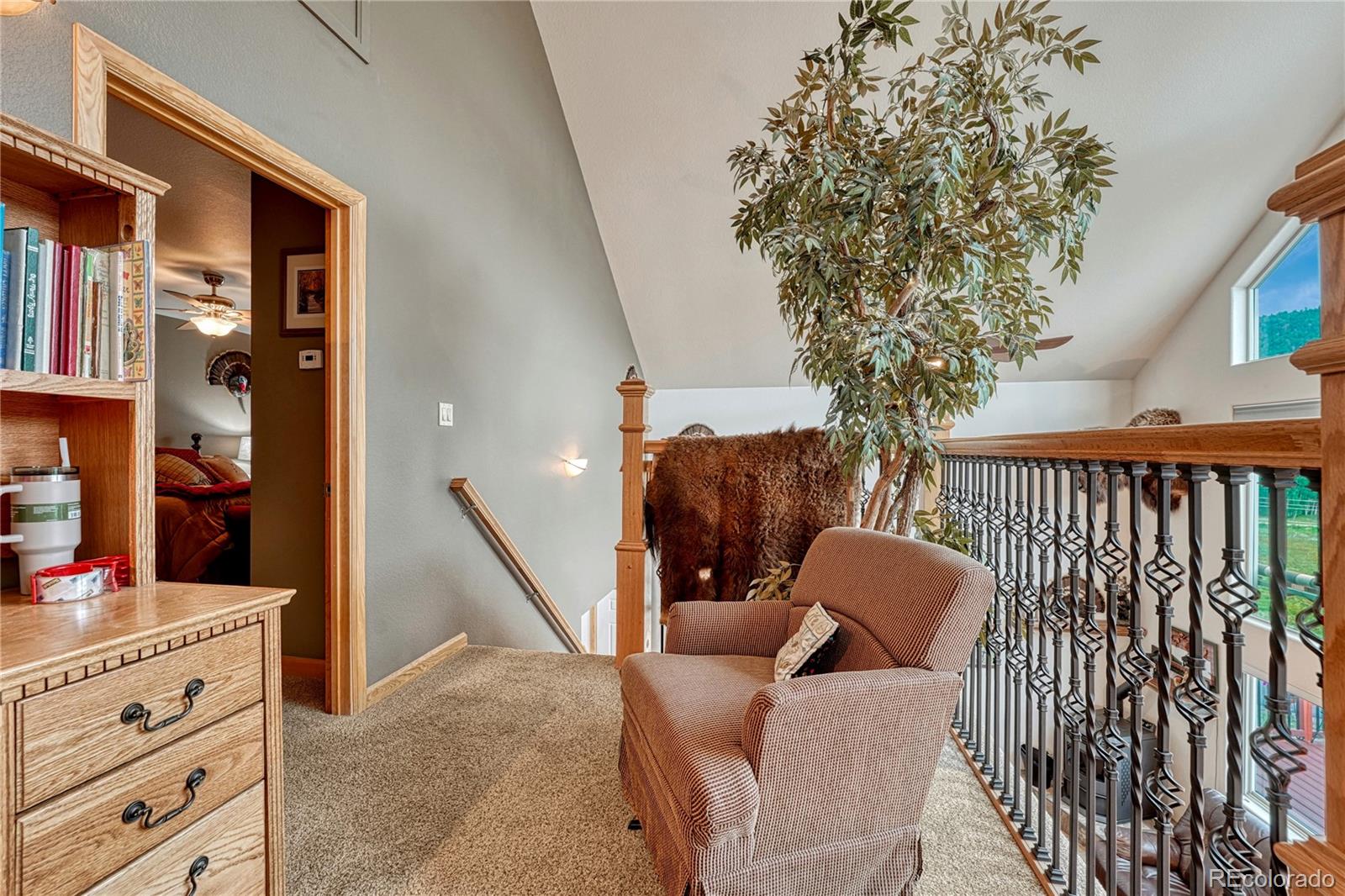 MLS Image #23 for 744  whale drive,lake george, Colorado