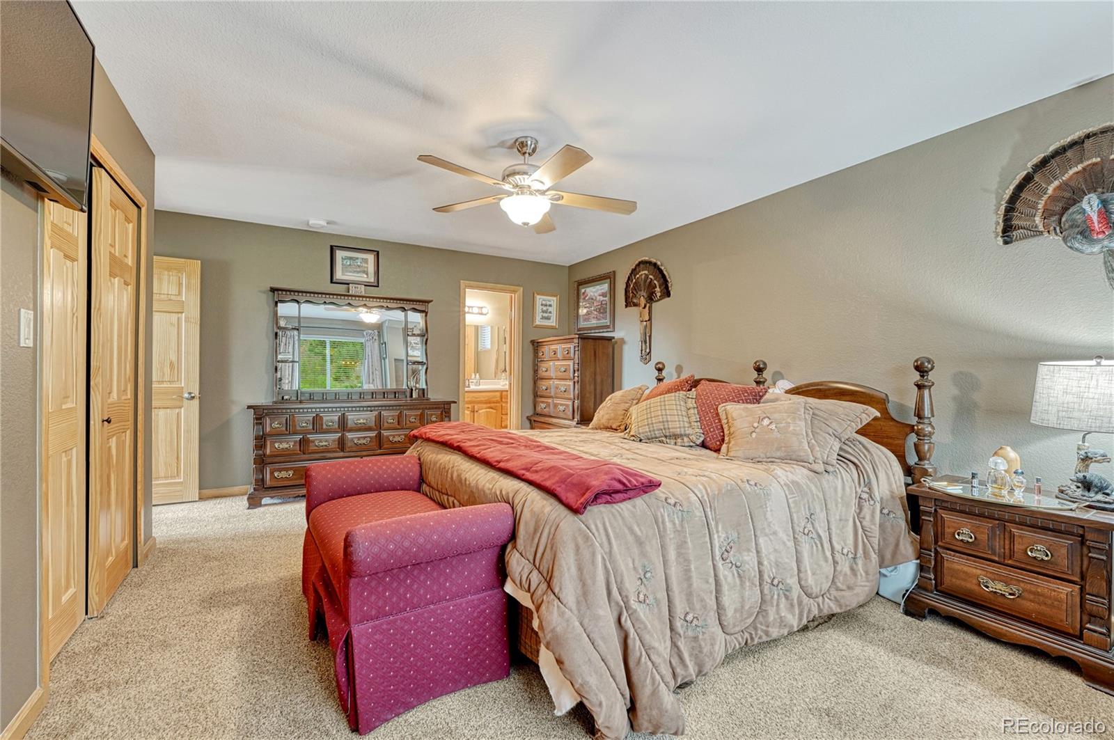 MLS Image #26 for 744  whale drive,lake george, Colorado