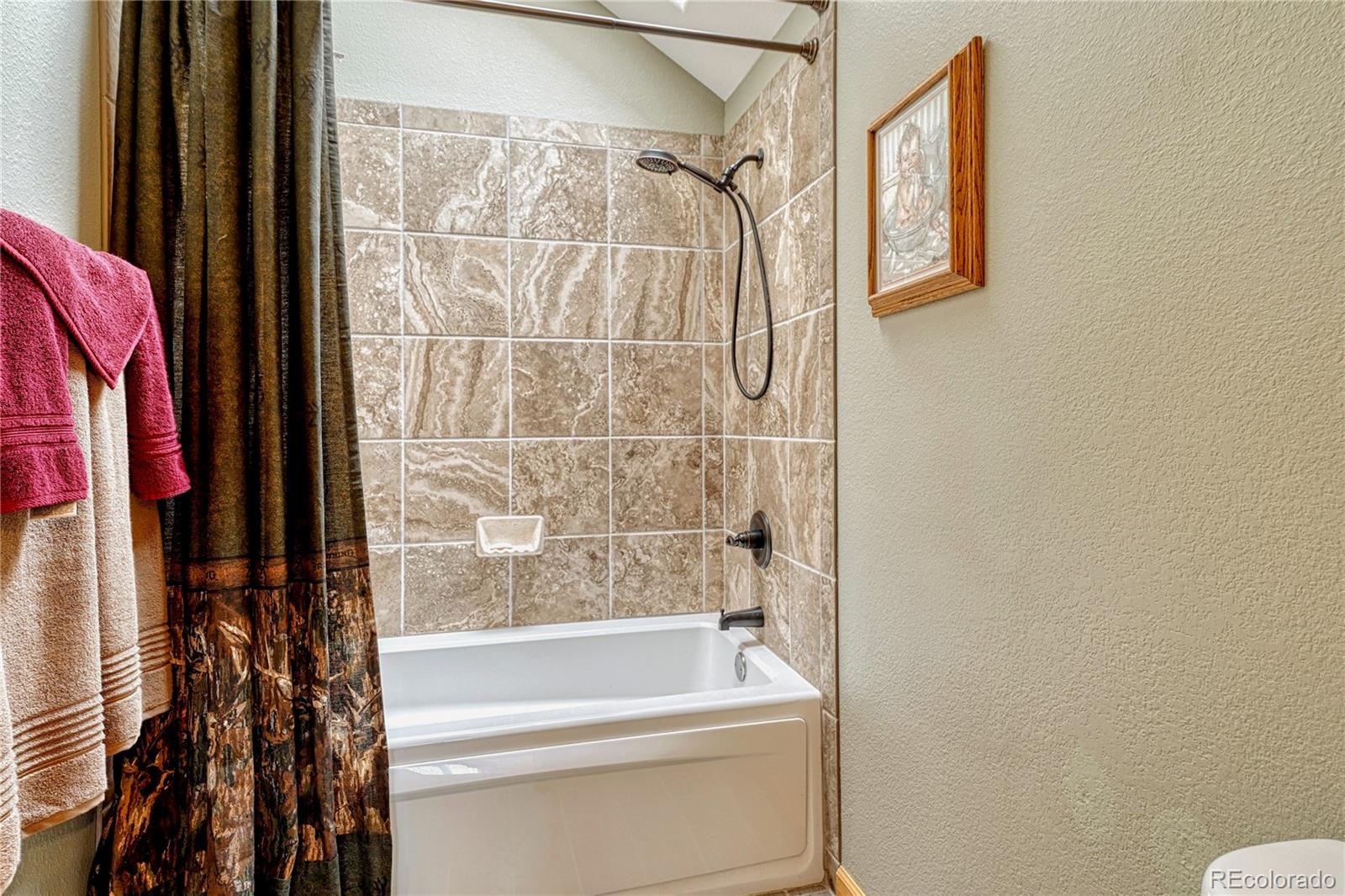 MLS Image #28 for 744  whale drive,lake george, Colorado