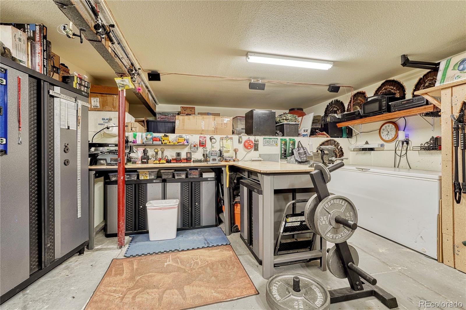 MLS Image #30 for 744  whale drive,lake george, Colorado